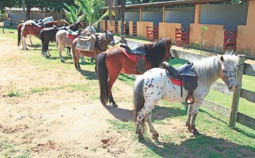
          Imagem ilustrativa da imagem Conheça destinos divertidos para curtir com as crianças no ES
          