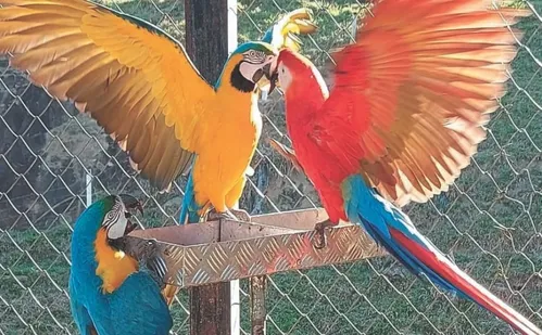 
          Imagem ilustrativa da imagem Conheça destinos divertidos para curtir com as crianças no ES
          