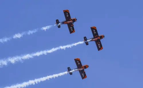 
          Imagem ilustrativa da imagem Desfile militar e shows nesta sexta-feira em Guarapari
          