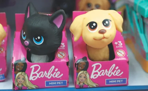 
          Imagem ilustrativa da imagem Dia das Crianças: presentes vão de bonecas a brinquedos eletrônicos
          