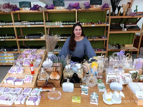 
          Imagem ilustrativa da imagem Diagnóstico aponta potencialidades
          