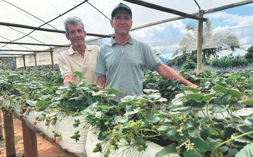 
          Imagem ilustrativa da imagem Dicas para turistar e conhecer as belezas de Mimoso do Sul
          