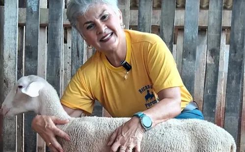 
          Imagem ilustrativa da imagem ES possui produção de leite de ovelha
          