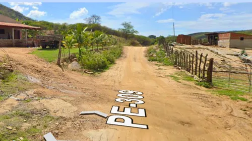 
          Imagem ilustrativa da imagem Em Solidão, sementes brotam entre fé, memória e o arroz da terra
          