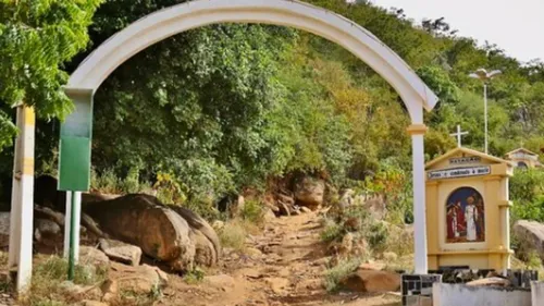 
          Imagem ilustrativa da imagem Em Solidão, sementes brotam entre fé, memória e o arroz da terra
          