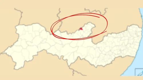 
          Imagem ilustrativa da imagem Em Solidão, sementes brotam entre fé, memória e o arroz da terra
          