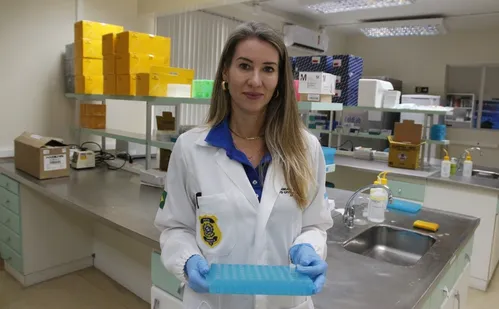 
          Imagem ilustrativa da imagem Exame de DNA já ajudou a encontrar 28 desaparecidos
          