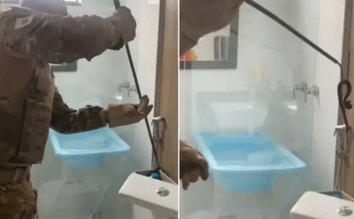 
          Imagem ilustrativa da imagem Família encontra cobra venenosa dentro da privada no Distrito Federal
          