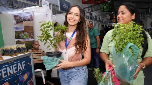 
          Imagem ilustrativa da imagem Feira de Negócios da Agricultura Familiar destaca a importância da produção local
          