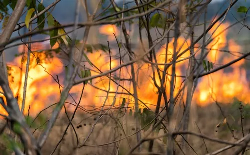 
          Imagem ilustrativa da imagem Fogo consome área de proteção ambiental em Tiradentes (MG) pelo terceiro dia
          