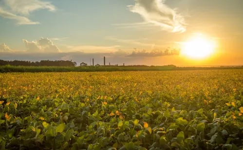 
          Imagem ilustrativa da imagem Governo anuncia R$ 12 bilhões para produtores rurais atingidos por clima extremo
          