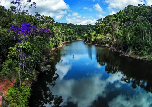 
          Imagem ilustrativa da imagem Guardiões da Natureza na reserva da Águia Branca
          