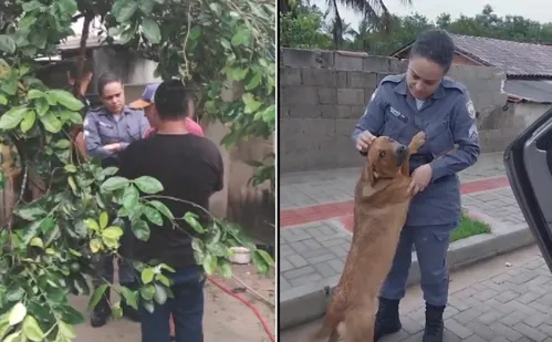 
          Imagem ilustrativa da imagem Homem é investigado por zoofilia contra cadela no Norte do ES
          