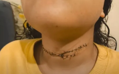 
          Imagem ilustrativa da imagem Homem é preso após invadir a casa da ex e cortar pescoço da filha dela no ES
          