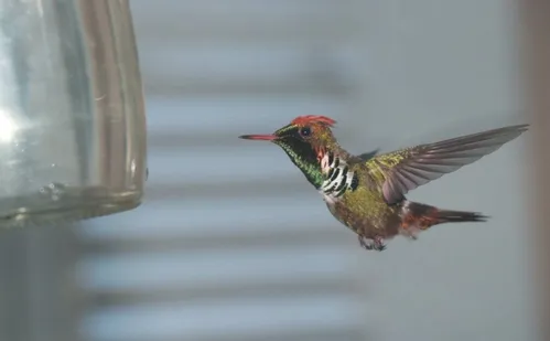 
          Imagem ilustrativa da imagem Hospedagem e passeios no ES para celebrar o Dia das Crianças
          