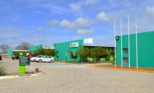 
          Imagem ilustrativa da imagem IFPE de Caruaru abre seleção simplificada para professores bolsistas
          