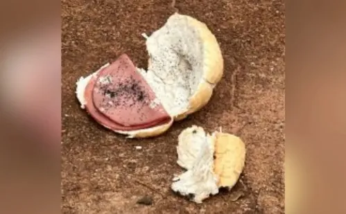 
          Imagem ilustrativa da imagem Idoso é preso suspeito de matar jovem com sanduíche de mortadela envenenado em MS
          