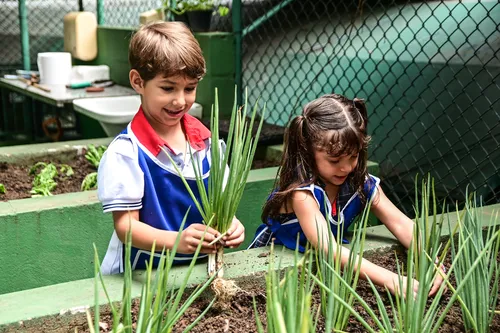 
          Imagem ilustrativa da imagem Infância: tempo de formar a base para o  desenvolvimento
          