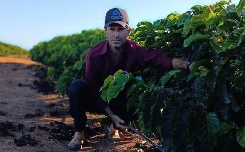 
          Imagem ilustrativa da imagem Irrigação coloca produtor no rumo do agronegócio
          