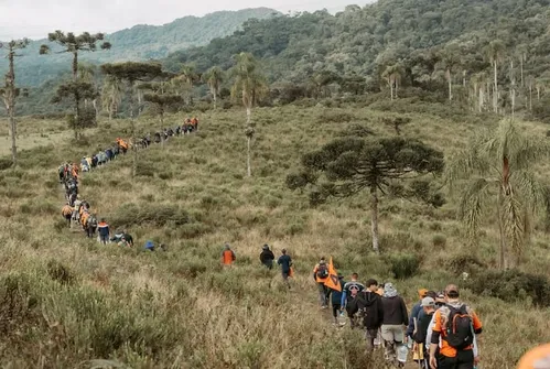 
          Imagem ilustrativa da imagem Legendários: retiro espiritual é atacado por abelhas em Goiás
          