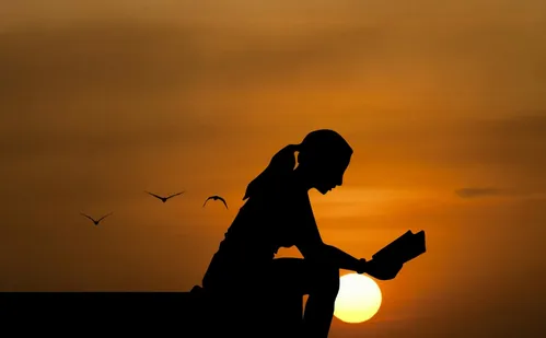 
          Imagem ilustrativa da imagem Livro é aliado no combate à solidão, luto e separação
          