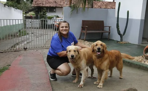 
          Imagem ilustrativa da imagem Mais de 300 denúncias de maus-tratos contra animais este ano no ES
          