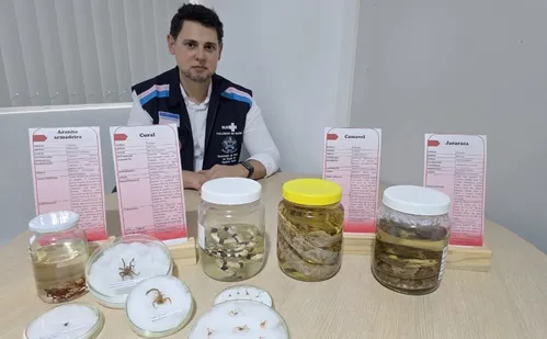 
          Imagem ilustrativa da imagem Mais de 5 mil foram picados por cobras, aranhas e escorpiões este ano no ES
          