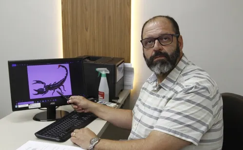 
          Imagem ilustrativa da imagem Mais de 5 mil foram picados por cobras, aranhas e escorpiões este ano no ES
          