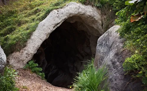 
          Imagem ilustrativa da imagem Mulher encontrada vivendo em caverna na Índia com as filhas retorna para a Rússia
          