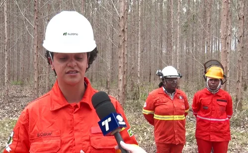 
          Imagem ilustrativa da imagem Mulheres formam brigada de combate a incêndios
          