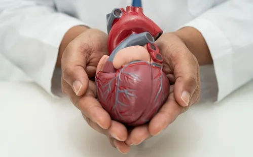 
          Imagem ilustrativa da imagem Nova diretriz prioriza saúde cardiovascular no tratamento da obesidade
          