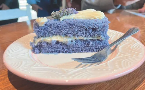 
          Imagem ilustrativa da imagem Novidades nos lavandários das montanhas capixabas
          