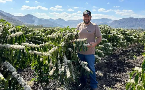 
          Imagem ilustrativa da imagem O que esperam produtores com a nova safra de café
          