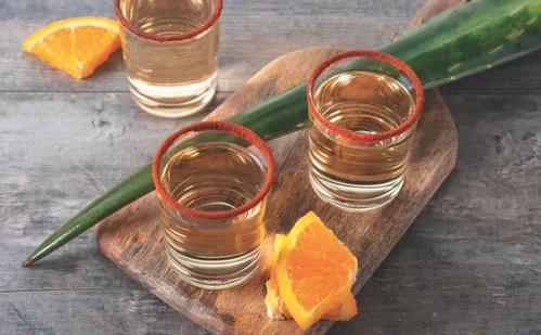 
          Imagem ilustrativa da imagem Orquestra e corais do Peru e da Colômbia nas montanhas
          