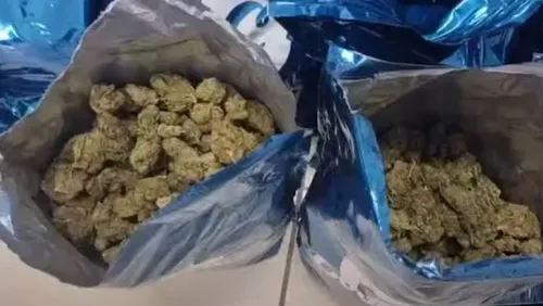 
          Imagem ilustrativa da imagem PRF apreende camionete abarrotada de maconha na BR-423, em Garanhuns
          