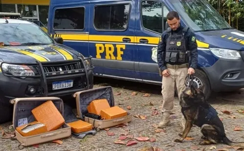 
          Imagem ilustrativa da imagem PRF prende passageiro transportando 52 kg de drogas, em Guarapari
          