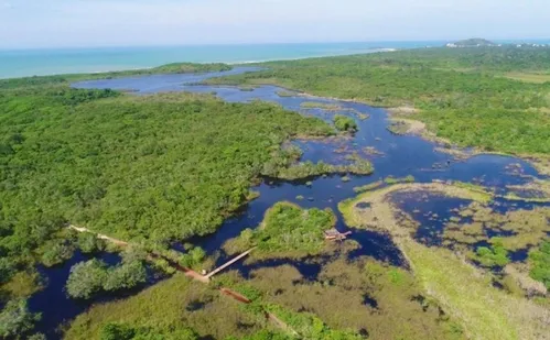 
          Imagem ilustrativa da imagem Parque Estadual Paulo César Vinha realiza quinta edição da trilha noturna
          