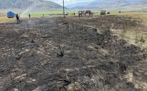 
          Imagem ilustrativa da imagem Peixe cai do céu, causa fogo em vegetação e deixa pessoas sem luz no Canadá
          