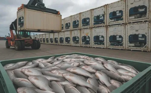 
          Imagem ilustrativa da imagem Produtores querem mais itens isentos
          