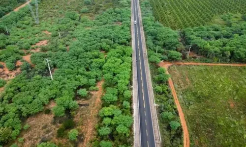 
          Imagem ilustrativa da imagem Quando o passado pesa, mas o futuro insiste: a reinvenção de Floresta
          