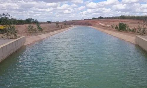 
          Imagem ilustrativa da imagem Quando o passado pesa, mas o futuro insiste: a reinvenção de Floresta
          