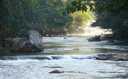 
          Imagem ilustrativa da imagem Recuperação de nascentes ajuda na proteção da bacia do Rio Santa Maria da Vitória
          