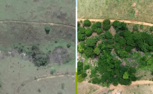 
          Imagem ilustrativa da imagem Recuperação de nascentes ajuda na proteção da bacia do Rio Santa Maria da Vitória
          
