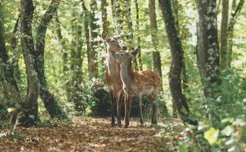 
          Imagem ilustrativa da imagem Rodrigo Santoro e Samuel L. Jackson nas estreias da semana no cinema
          