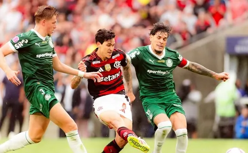 
          Imagem ilustrativa da imagem Saiba como chegam rivais de Flamengo e Palmeiras na Libertadores
          