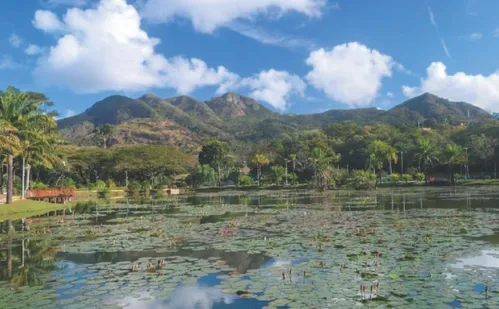 
          Imagem ilustrativa da imagem Serra inaugura parque revitalizado com cenários instagramáveis
          