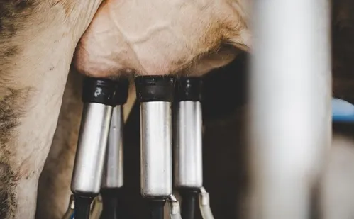 
          Imagem ilustrativa da imagem Serra oferece curso gratuito para trabalhar no setor rural
          