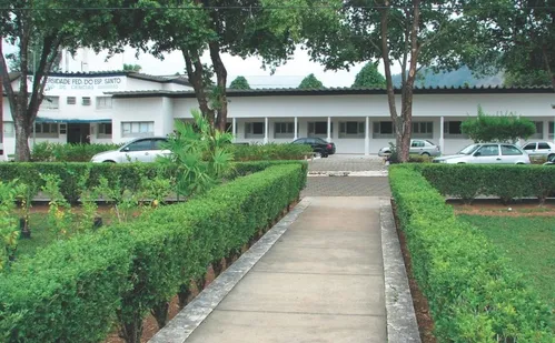 
          Imagem ilustrativa da imagem Sinal verde para curso de Medicina da Ufes em Alegre
          