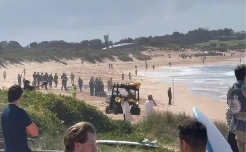 
          Imagem ilustrativa da imagem Surfista morre após ataque de tubarão em praia na Austrália
          