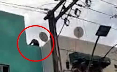 
          Imagem ilustrativa da imagem Suspeito de roubar bicicleta sobe em terraço de prédio pra fugir de agressões
          